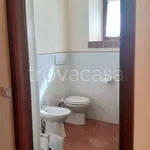 Rent 2 bedroom apartment of 70 m² in Magliano in Toscana