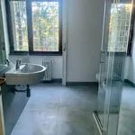 Rent 4 bedroom apartment of 146 m² in Roma