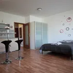 Pronajměte si 1 ložnic/e byt o rozloze 40 m² v Prague