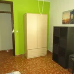 Rent a room in cordoba