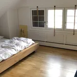 Miete 5 Schlafzimmer haus in Niederteufen