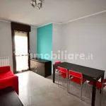 Rent 2 bedroom apartment of 50 m² in Novara