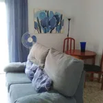 Rent 1 bedroom apartment in cadiz