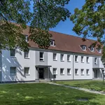 Rent 2 bedroom apartment of 51 m² in Gelsenkirchen