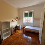 Rent 2 bedroom apartment of 70 m² in Roma