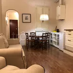 Rent 2 bedroom apartment of 50 m² in Firenze