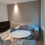 Rent 2 bedroom apartment of 53 m² in Turin