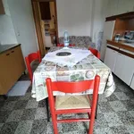 Rent 2 bedroom apartment of 50 m² in Torino