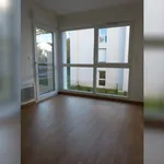 Rent 1 bedroom apartment in Tours