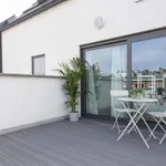 Rent 1 bedroom apartment in Antwerpen