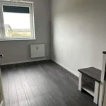 Rent 3 bedroom apartment of 63 m² in Szczecin