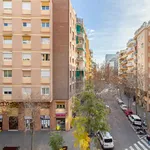 Alquilar 5 dormitorio apartamento en Barcelona