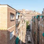 Rent 3 bedroom apartment of 75 m² in granada