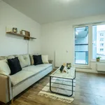 Rent 1 bedroom apartment of 27 m² in Łódź