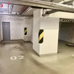 Pronajměte si 4 ložnic/e byt o rozloze 150 m² v Praha