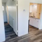 Rent 1 bedroom apartment in Central Phoenix