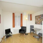 Rent 1 bedroom apartment of 226 m² in Zurich