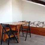 Rent 1 bedroom apartment of 30 m² in Torino