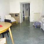 Rent 2 bedroom apartment of 62 m² in Bari (BA) Libertà