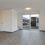 Rent 4 bedroom house of 103 m² in Tongelresche Akkers