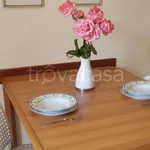 Rent 2 bedroom apartment of 36 m² in Torino