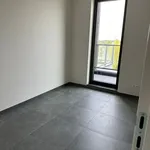 Rent 1 bedroom apartment in Zedelgem