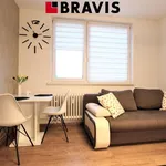 Rent 2 bedroom apartment of 35 m² in Brno