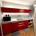 Rent 3 bedroom apartment of 58 m² in Turin