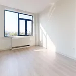 Rent 2 bedroom apartment in Queens