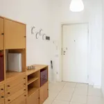 Rent 2 bedroom apartment in Milan