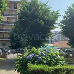 Rent 2 bedroom apartment of 50 m² in Moncalieri