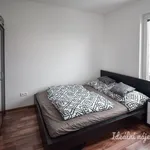 Rent 2 bedroom apartment in Brno