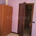 Rent 3 bedroom apartment of 72 m² in Teramo