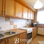 Rent 2 bedroom apartment of 47 m² in Kalisz