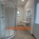 Rent 2 bedroom apartment of 44 m² in Ostrava