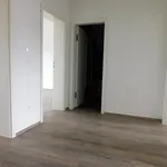 Pronájem domu 145m² s pozemkem 381m²