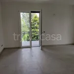 Rent 3 bedroom apartment of 100 m² in Sarmato