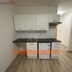 Rent 1 bedroom apartment of 21 m² in Frýdek-Místek