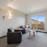 Rent 1 bedroom apartment in Hamilton