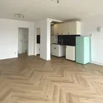 Rent 1 bedroom apartment in Antwerp