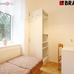 Rent 5 bedroom apartment of 108 m² in Brno