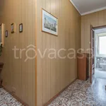 Rent 2 bedroom apartment of 56 m² in Torino