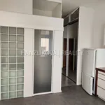 Rent 1 bedroom apartment of 40 m² in České Budějovice