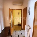 Rent 4 bedroom apartment of 60 m² in Adria