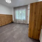 Rent 3 bedroom apartment of 106 m² in Budapest