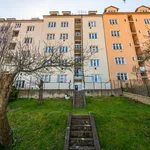 Rent 1 bedroom apartment of 29 m² in Capital City of Prague