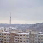 Rent 1 bedroom apartment in vilnius