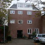 Rent a room of 11 m² in Utrecht