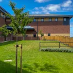 Rent 1 bedroom flat in Leeds