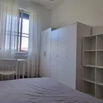 Rent 1 bedroom apartment of 14 m² in Pisa